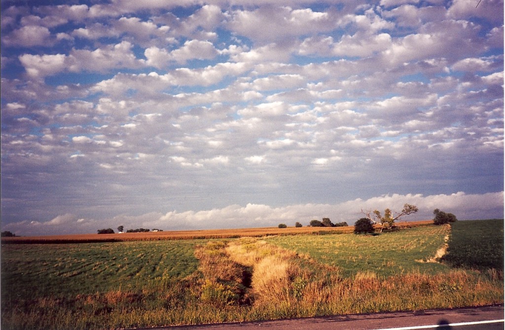 Summer Skies of My Birthplace