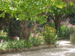 Stevenson House gardens 078