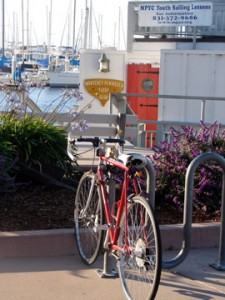 Bike rack by yacht club