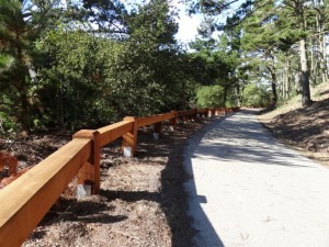 Carmel Hill fence July 2013