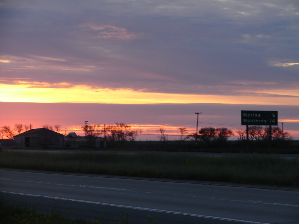 Castroville 5 Feb 2012 027