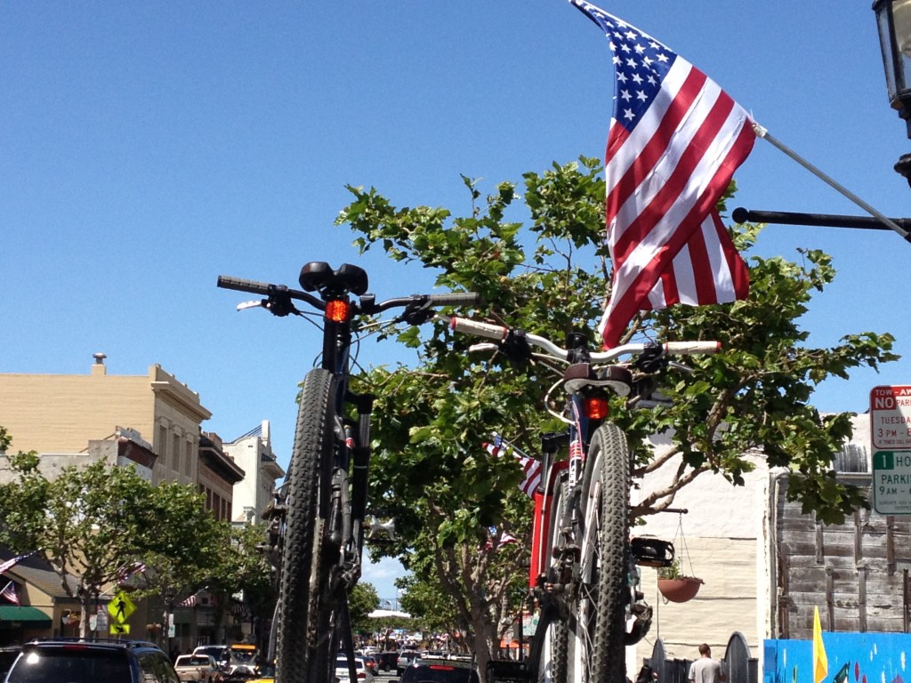 Freedom - bike rack atop car