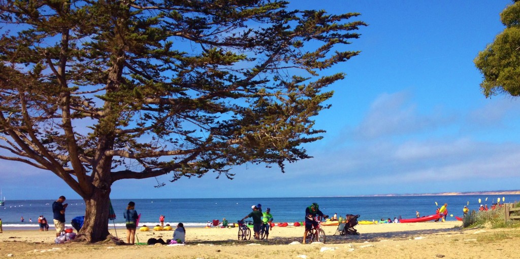 Bike to the beach Apr 2014 Del Monte MRY