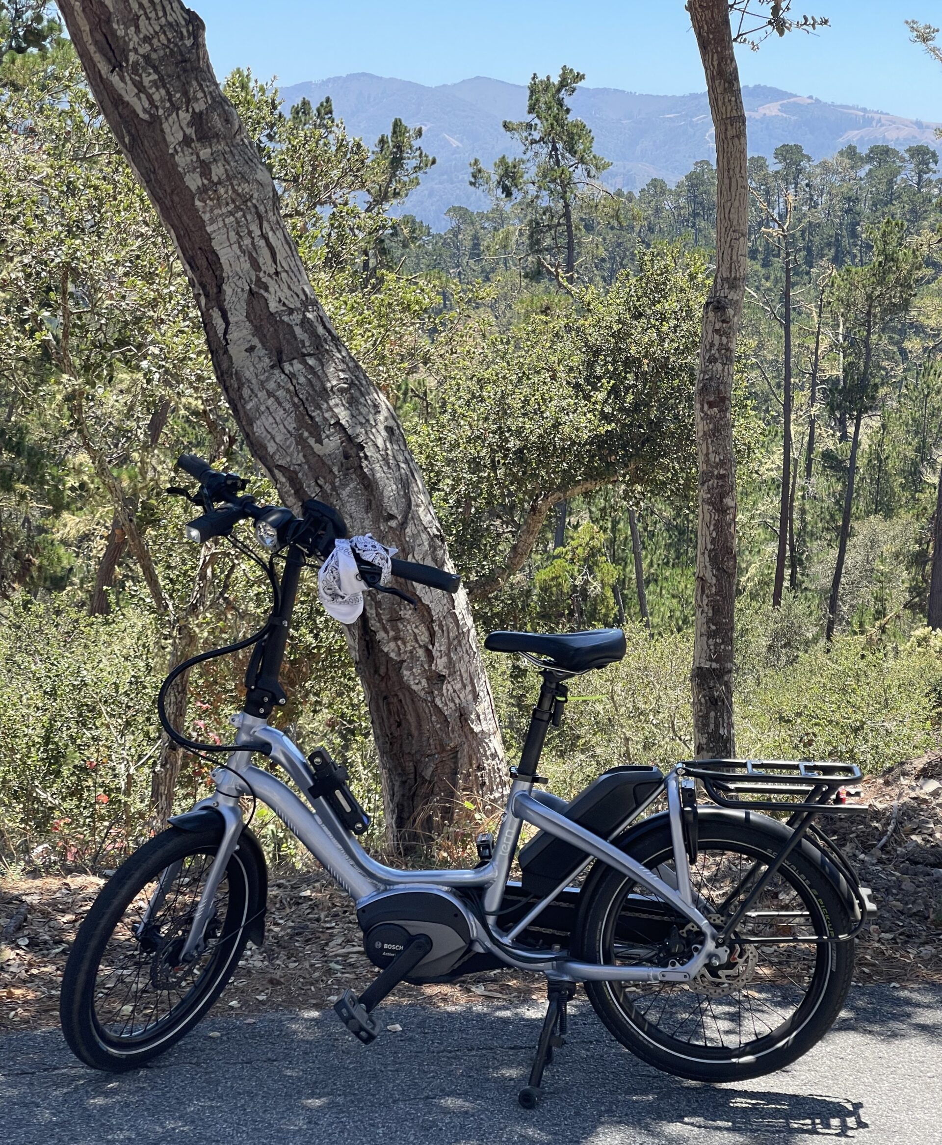 A bicycle paused along the edge of a paved road. A forest is behind it, and mountains in the distance.