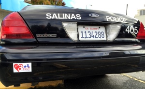Salinas PD 3 Ft for Safety - 4107